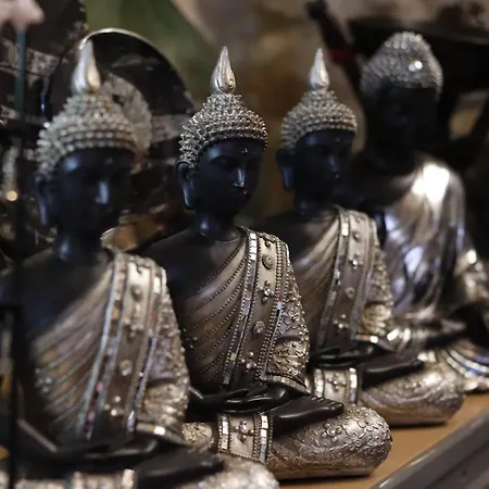 Apartamento La Estrella De David, Rurales